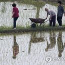 우리친환경 연합뉴스