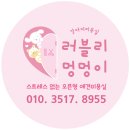 애견미용 나나엄마 이미지