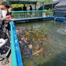 물고기마을 이미지