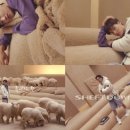 다운영상기획