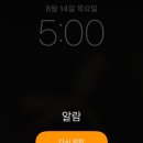 [제주여행] 돌, 초록, 바다, 산 그리고