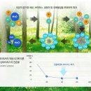 365일매일가스