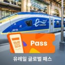 글로벌패스(Global Pass)