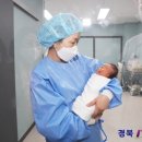 정산부인과 이미지
