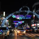 마산가고파 국화축제장 이미지