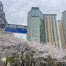 도화소공원 네이버블로그