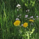 나우행정사 이미지