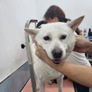 개포동월드 이미지