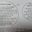 도시매개프로젝트 이미지