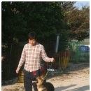 스마트 애견 이미지