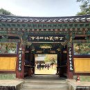 약수리_마을진입로_001 | 전남 장성 가볼 만한 곳 천년고찰 백양사/고불매(홍매화)와 벚꽃이 아름답지만 아쉬웠던 엔딩과 시작