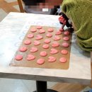 곰미 | <오늘의 후기> 가디단 곰미커피 마카롱 원데이 클래스