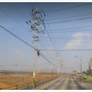 트인자리애 3차 이미지