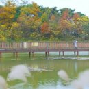 형제방죽공원 주변 | 독수리 5형제를 부탁해 드라마 촬영지 탐방: 원주 행구 수변공원의 매력