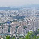 구룡산공인중개사사무소 이미지