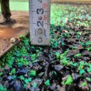 대구동변초등학교 이미지