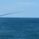 솔밭펜션 이미지