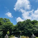 펜션 다알리아 | 서울근교 가평 유명산 계곡 단체 가족 펜션 물놀이 추천 &#34;다알리아&#34; 리얼후기(+족구장)