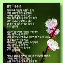 봄밤 - 김수영 이미지