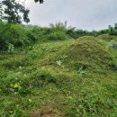 무주장의사 이미지