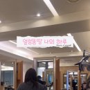 도영헤어살롱 네이버블로그