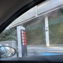 G1690 | 잠실 롯데월드몰 샤롯데가든 크리스마스 트리 회전목마 야경 포토존 (ft.주차팁)