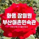 공간풍경 -2002 | 부산 북구 가볼만한 곳, 5월 '장미원'과 '부산어촌민속관'까지 함께 둘러본 후기