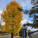 주덕농공길 이미지