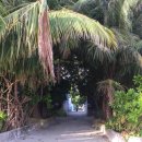 오마드호텔 이미지