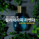 제이코헨에스떼 피부진정 컬러테라피 후기