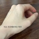 에스에이치에스유통 | 피부가 쫀쫀해지는 콜라겐 함유 [헤라 에이지 어웨이 에스테틱 BX 크림] 내돈내산 솔직후기
