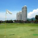 크리스탈 골프클럽 이미지