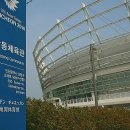 코리아태권도체육관 이미지