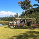 필로스골프연습장 이미지