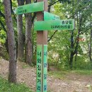 상촌면사무소 | 충북 영동여행/민주지산 자연휴양림 치유의 숲길