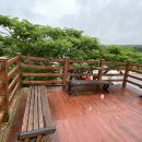 산록남로 이미지