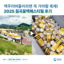 꿀맥 | [칠곡서포터즈] 맥주러버들이라면 꼭 가야할 축제! 2025 칠곡꿀맥페스티벌 후기