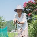 두곡할머니 네이버블로그