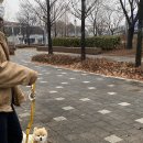 호두데이 이미지