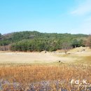 능산2리 | 부여 능산리고분군 유네스코 세계유산과 성왕