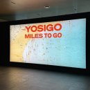 카스오디오 | 서울 실내 전시회 데이트 추천 요시고 사진전2 기간 할인 예매 굿즈 관람후기