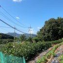 무주읍222 이미지