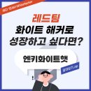 주식회사 리프레시 | 레드팀 '화이트 해커'로 성장하고 싶다면? 엔키화이트햇에 대해 알아보기. ZIP