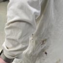 야생사슴농장 이미지