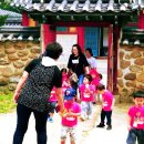 영주 소수서원과 선비촌, 소수박물관에서 만나는 괴헌고택 기증유물전시 – 조선 선비가의 삶과 정신...