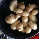 호진농장 이미지