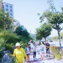 연신초교 이미지