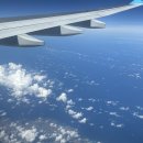 469 | 호치민 출장 - 실망스러운 대한항공 국제선 일반석과 기내식 후기, 시간 (KE469, KE470)