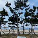 속초코지테마펜션 | 국내 여름 휴가지 추천 3곳 | 속초오션뷰카페·제부도드라이브·애견동반펜션·계곡뷰카페·내돈내산
