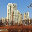 중랑천 산책로 이미지
